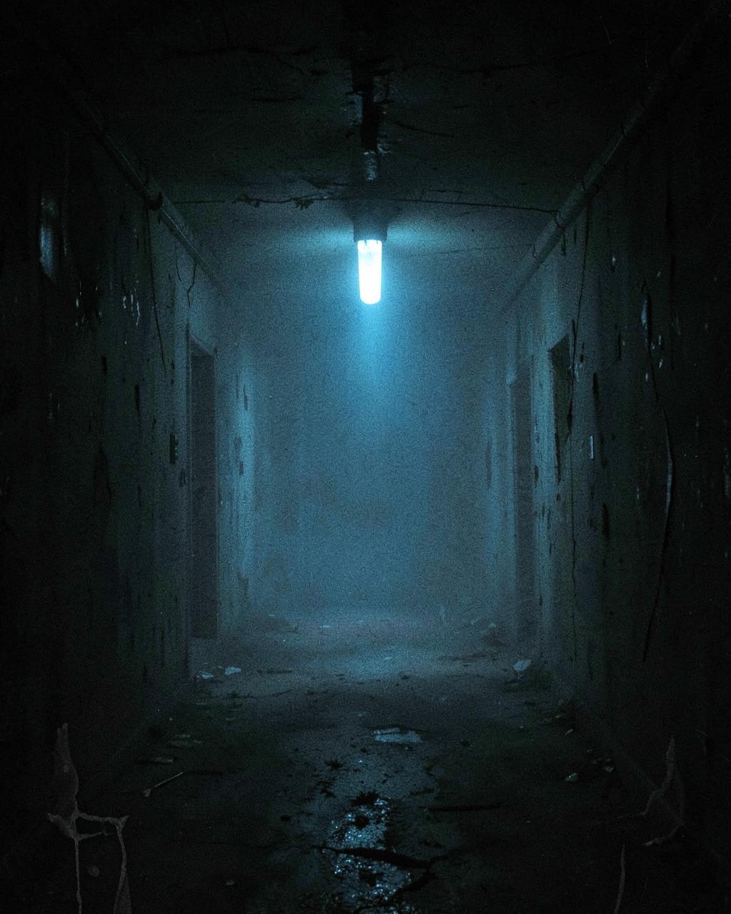 The Hollow Signal cover art